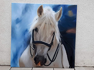 Reference picture slike-na-canvasu-005